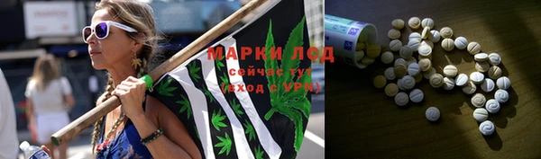 PSILOCYBIN Армянск
