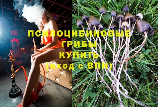 a pvp Арсеньев