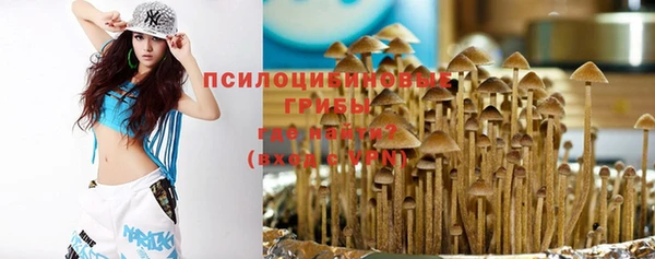 a pvp Арсеньев