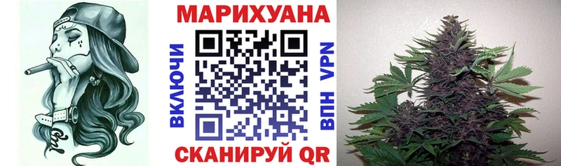Купить  Балашов  Бошки Шишки VHQ 